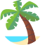 palm